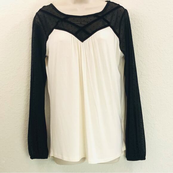 NWT August Silk Cream and Black Lace Top - Picture 8 of 16